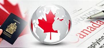 Work and study in Canada while citizenship application is in progress
